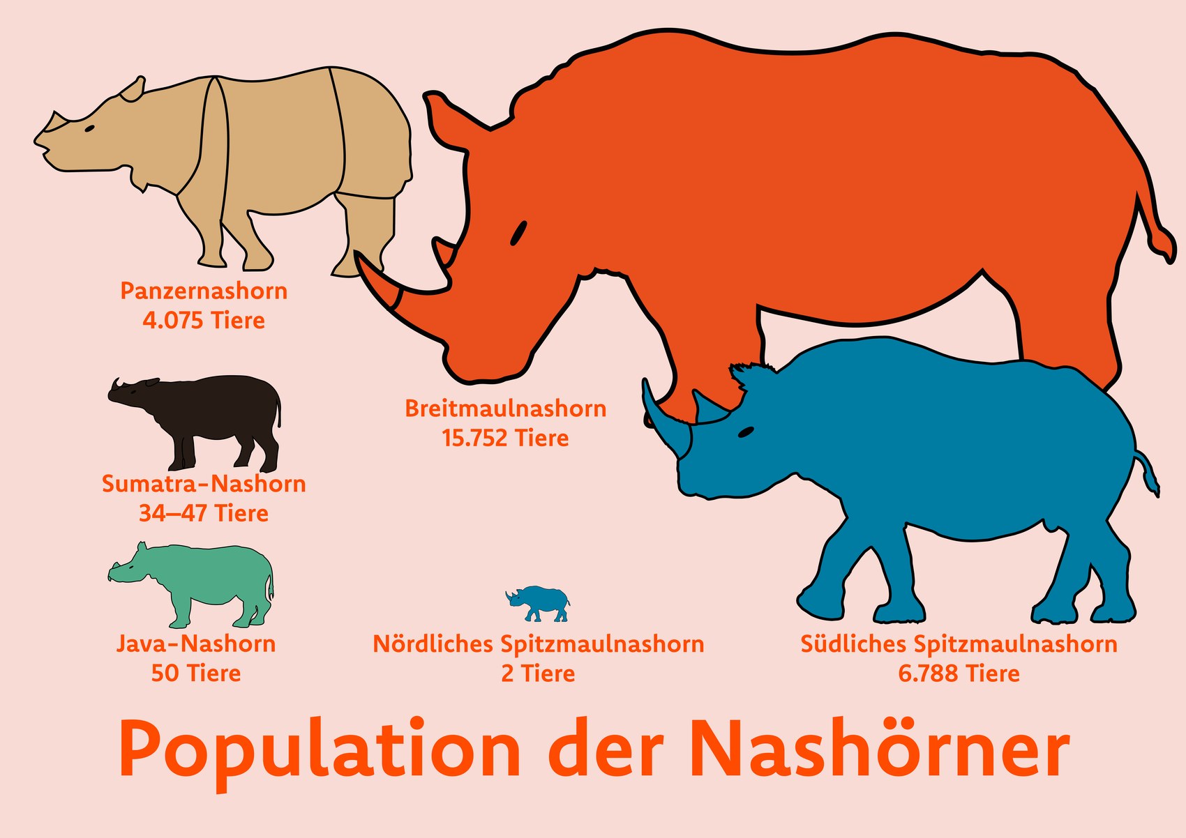 Infografik: Population der Nashörner, heutige Bestände je Art