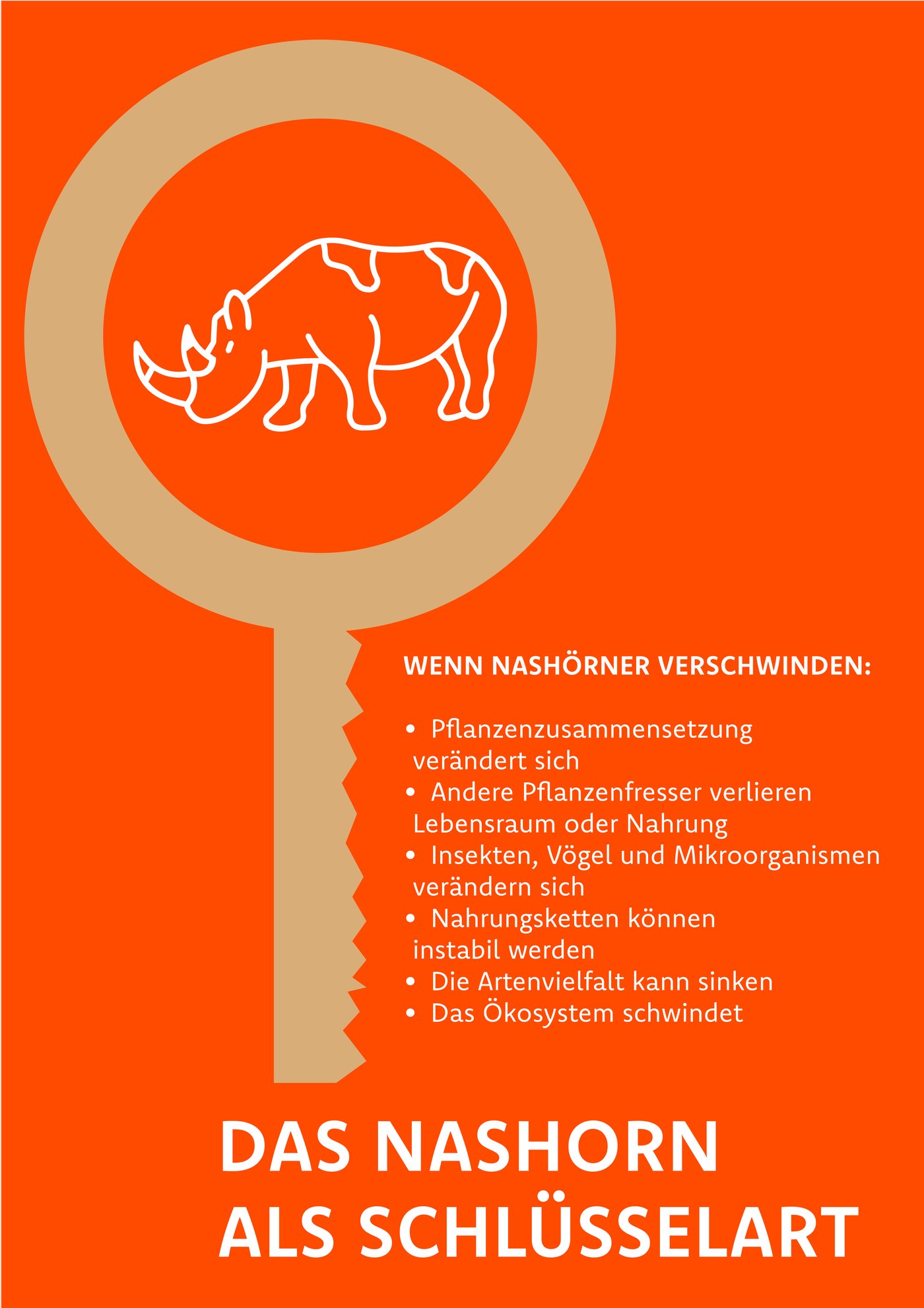 Plakat: Das Nashorn als Schlüsselart
