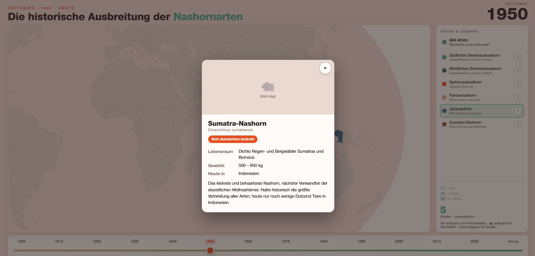 Die Zukunft der Nashörner, Bachelorarbeit