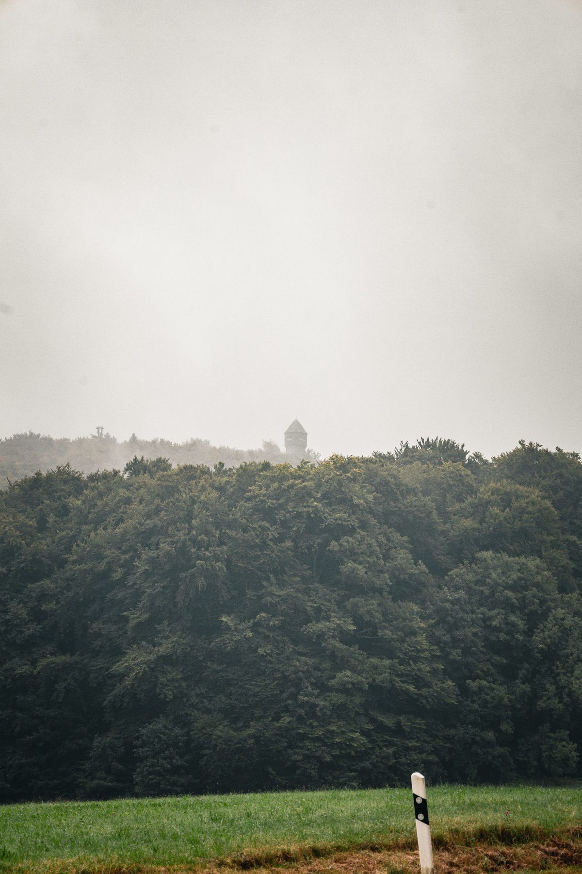 Dawnweary, Projektbild