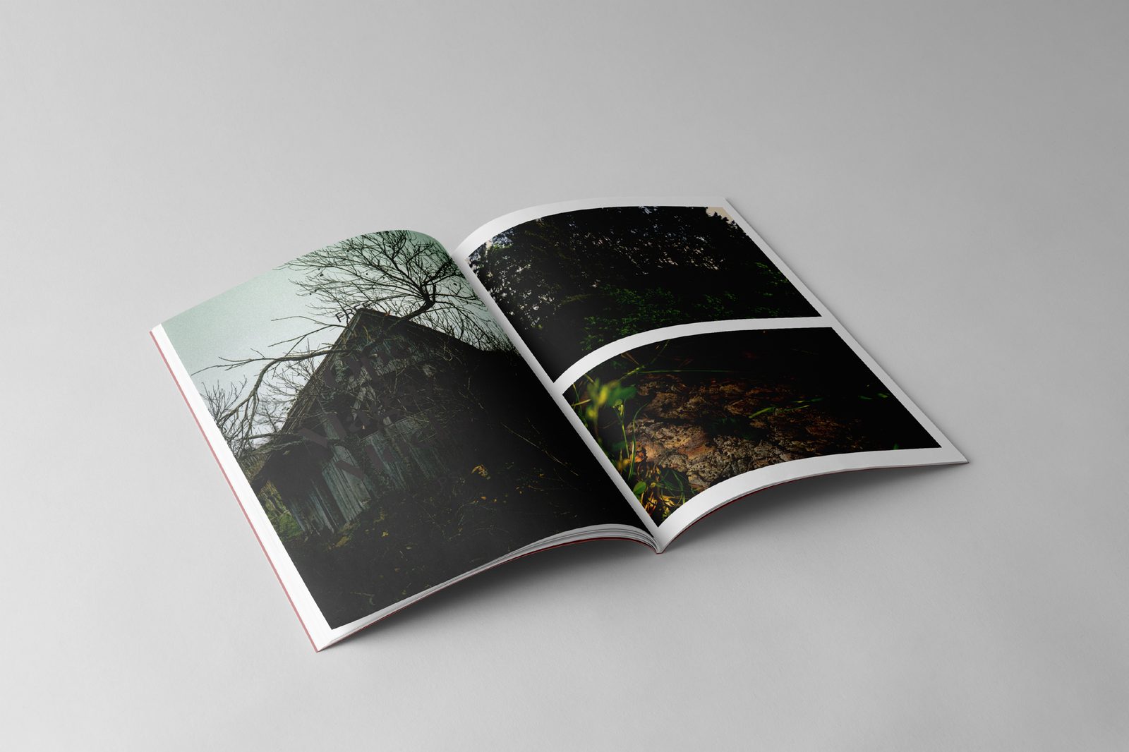 Aufgeschlagenes Fotobuch mit einer Doppelseite aus dem Wald