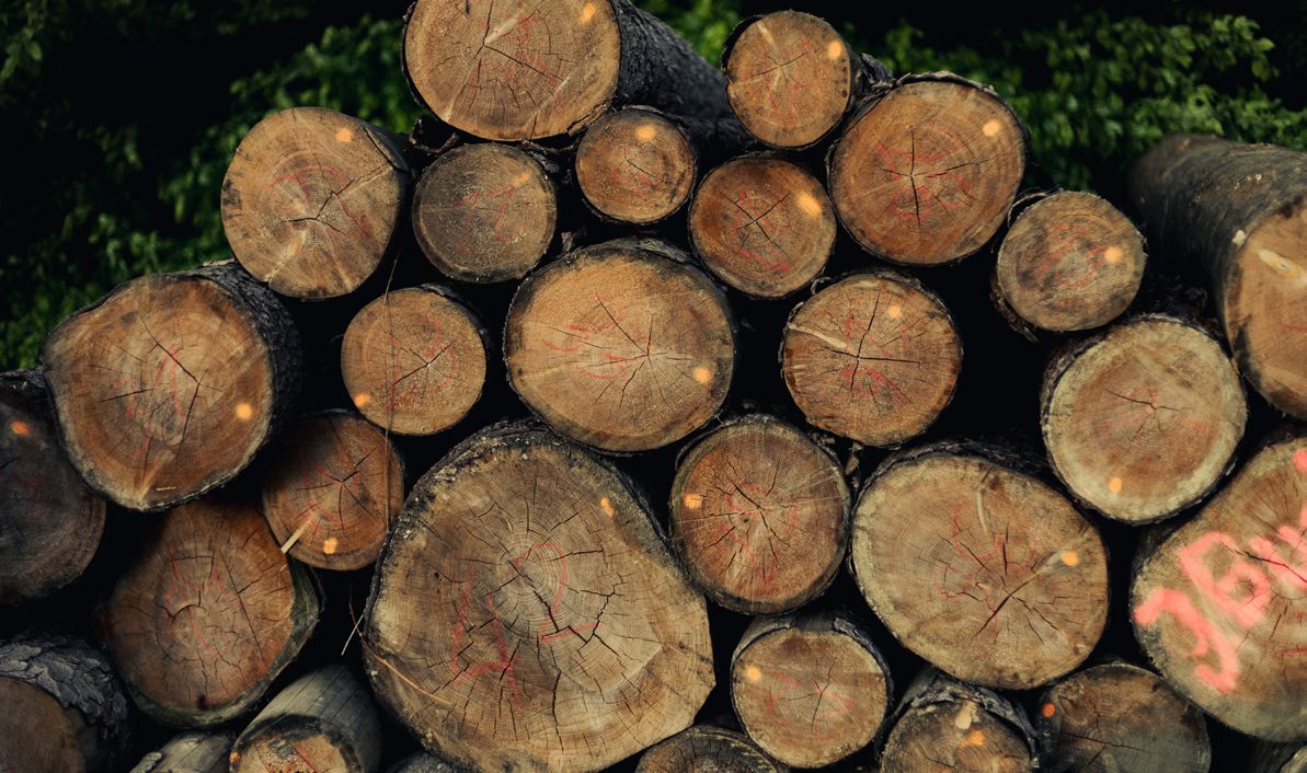 Wälder Deutschlands