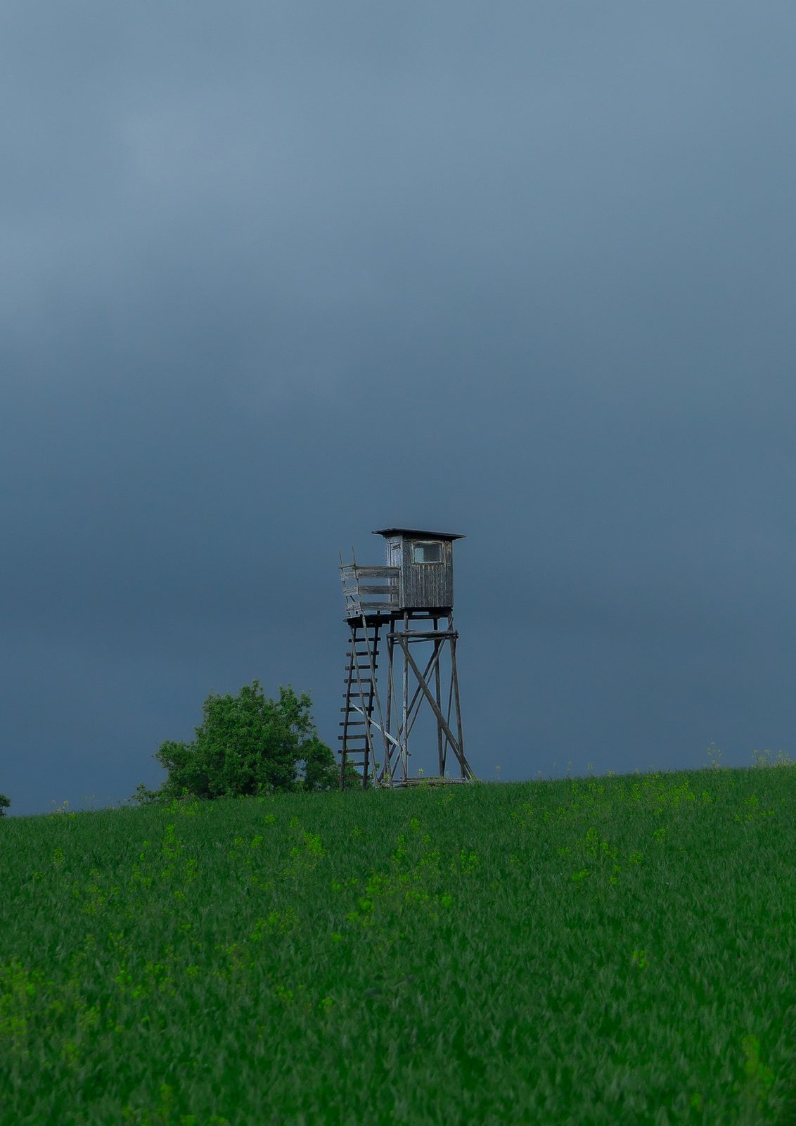 Hochsitz am Waldrand in der Dämmerung