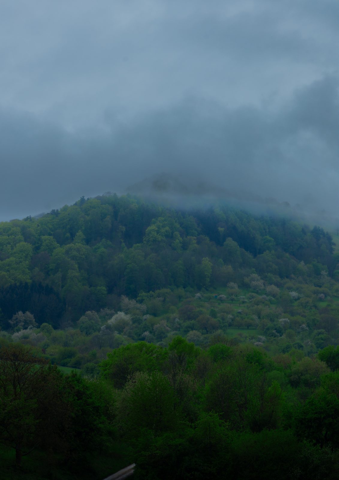 Wälder Deutschlands
