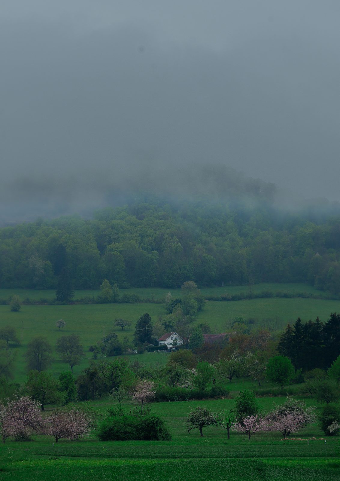 Wälder Deutschlands