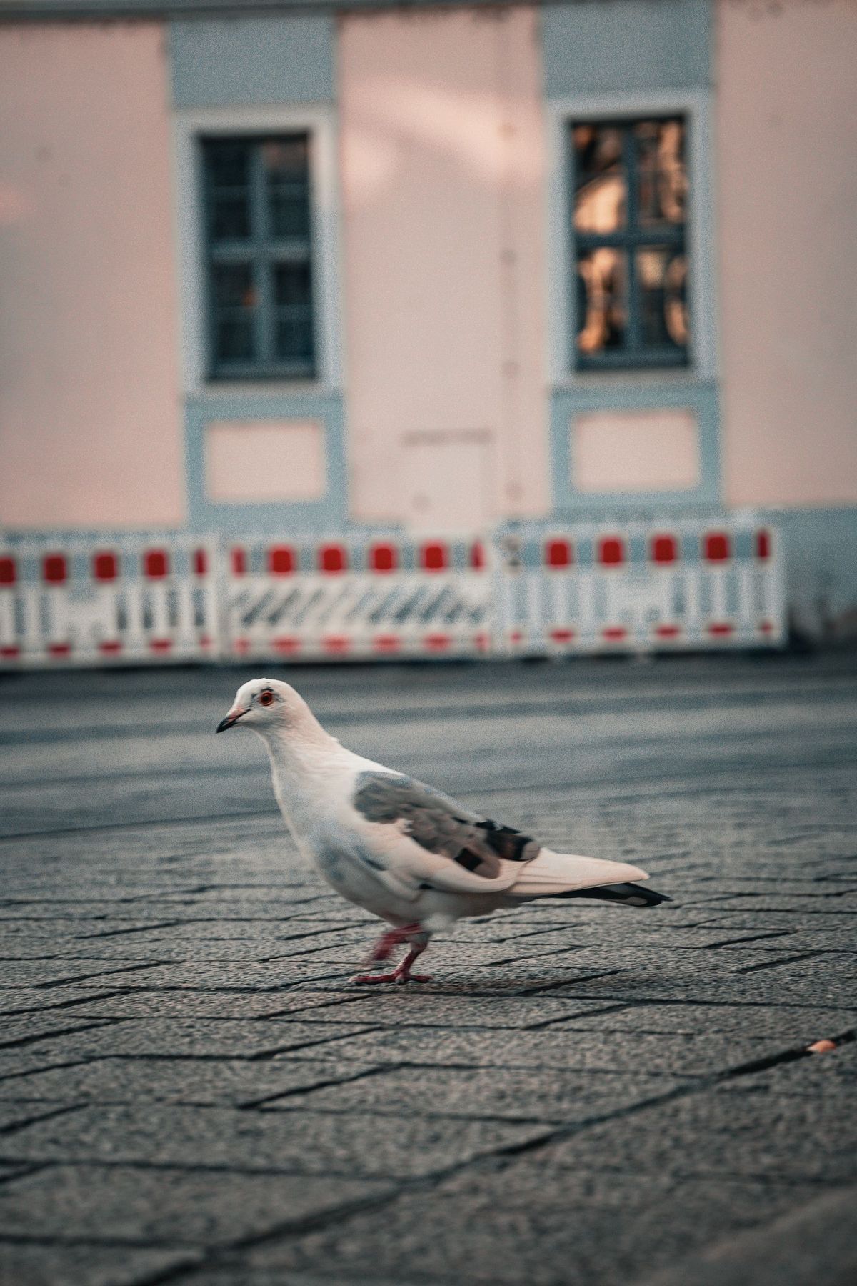 Würzburg