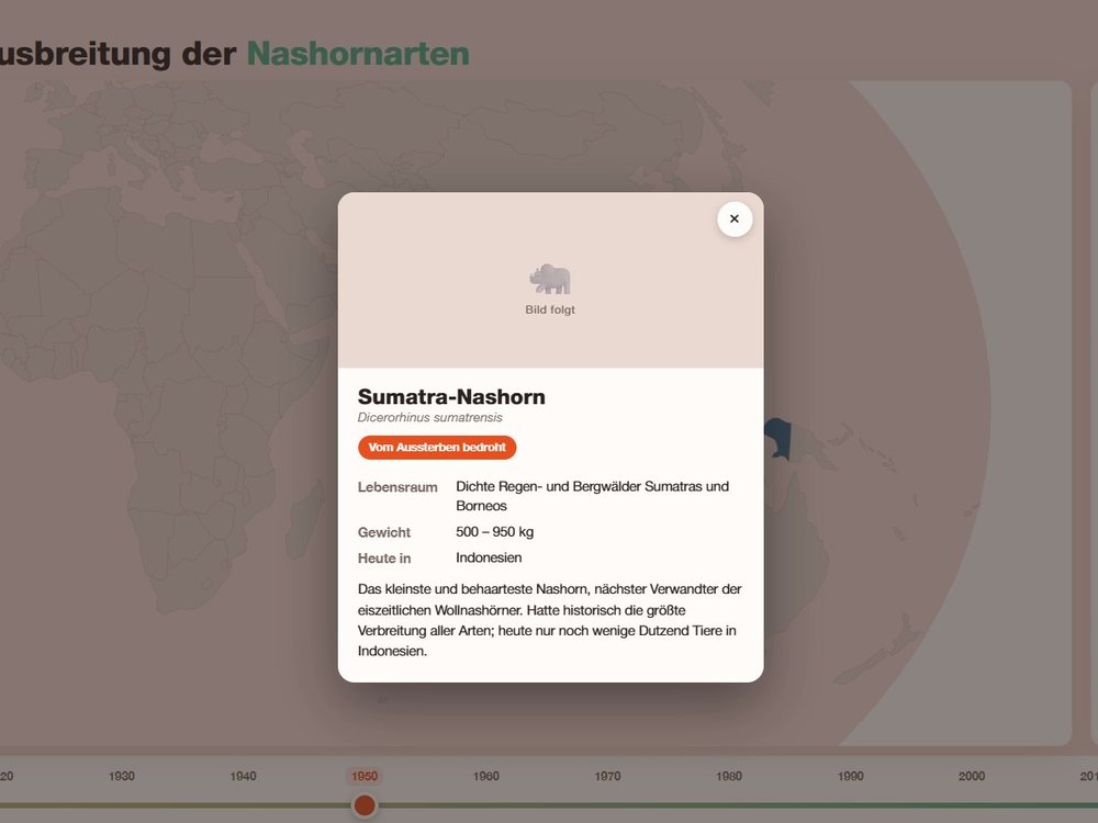 Die Zukunft der Nashörner, Bachelorarbeit